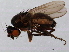  ( - 08TTML-2237)  @13 [ ] CreativeCommons - Attribution (2010) CBG Photography Group Centre for Biodiversity Genomics