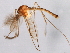  ( - 08TTML-2280)  @13 [ ] CreativeCommons - Attribution (2010) CBG Photography Group Centre for Biodiversity Genomics