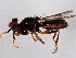  ( - 08TTML-2281)  @13 [ ] CreativeCommons - Attribution (2010) CBG Photography Group Centre for Biodiversity Genomics