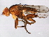  ( - 08TTML-2282)  @15 [ ] CreativeCommons - Attribution (2010) CBG Photography Group Centre for Biodiversity Genomics