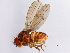  ( - 08TTML-2290)  @13 [ ] CreativeCommons - Attribution (2010) CBG Photography Group Centre for Biodiversity Genomics