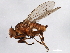  ( - 08TTML-2298)  @14 [ ] CreativeCommons - Attribution (2010) CBG Photography Group Centre for Biodiversity Genomics