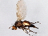  ( - 08TTML-2301)  @13 [ ] CreativeCommons - Attribution (2010) CBG Photography Group Centre for Biodiversity Genomics