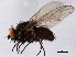 ( - 08TTML-2308)  @13 [ ] CreativeCommons - Attribution (2010) CBG Photography Group Centre for Biodiversity Genomics