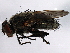  ( - 08TTML-2351)  @14 [ ] CreativeCommons - Attribution (2010) CBG Photography Group Centre for Biodiversity Genomics