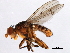  ( - 08TTML-2361)  @14 [ ] CreativeCommons - Attribution (2010) CBG Photography Group Centre for Biodiversity Genomics