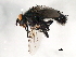  ( - 08TTML-2398)  @14 [ ] CreativeCommons - Attribution (2010) CBG Photography Group Centre for Biodiversity Genomics