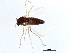  ( - 08TTML-2486)  @13 [ ] CreativeCommons - Attribution (2010) CBG Photography Group Centre for Biodiversity Genomics