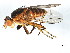  ( - 08TTML-2511)  @13 [ ] CreativeCommons - Attribution (2010) CBG Photography Group Centre for Biodiversity Genomics