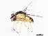 ( - 08TTML-2536)  @14 [ ] CreativeCommons - Attribution (2010) CBG Photography Group Centre for Biodiversity Genomics