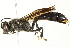  ( - BIOUG00835-H05)  @14 [ ] CreativeCommons - Attribution (2011) CBG Photography Group Centre for Biodiversity Genomics