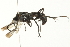 ( - BIOUG00835-H11)  @13 [ ] CreativeCommons - Attribution (2011) CBG Photography Group Centre for Biodiversity Genomics