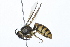  ( - 08TTML-0291)  @13 [ ] CreativeCommons - Attribution (2009) Unspecified Centre for Biodiversity Genomics