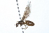  ( - 08TTML-0303)  @13 [ ] CreativeCommons - Attribution (2009) Unspecified Centre for Biodiversity Genomics