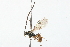  ( - 08TTML-0425)  @12 [ ] CreativeCommons - Attribution (2009) Unspecified Centre for Biodiversity Genomics