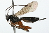  ( - 08TTML-0433)  @14 [ ] CreativeCommons - Attribution (2009) Unspecified Centre for Biodiversity Genomics