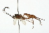  ( - 08TTML-0469)  @14 [ ] CreativeCommons - Attribution (2009) Unspecified Centre for Biodiversity Genomics