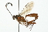  ( - 08TTML-0472)  @13 [ ] CreativeCommons - Attribution (2009) Unspecified Centre for Biodiversity Genomics