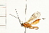  ( - 08TTML-0016)  @12 [ ] CreativeCommons - Attribution (2008) Unspecified Centre for Biodiversity Genomics