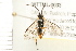  ( - 08TTML-0033)  @13 [ ] CreativeCommons - Attribution (2008) Unspecified Centre for Biodiversity Genomics