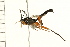  ( - 08TTML-0054)  @14 [ ] CreativeCommons - Attribution (2008) Unspecified Centre for Biodiversity Genomics