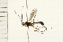  ( - 08TTML-0075)  @13 [ ] CreativeCommons - Attribution (2008) Unspecified Centre for Biodiversity Genomics
