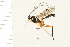  ( - 08TTML-0159)  @13 [ ] CreativeCommons - Attribution (2008) Unspecified Centre for Biodiversity Genomics