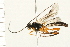  ( - 08TTML-0171)  @13 [ ] CreativeCommons - Attribution (2008) Unspecified Centre for Biodiversity Genomics