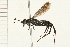  ( - 08TTML-0217)  @14 [ ] CreativeCommons - Attribution (2008) Unspecified Centre for Biodiversity Genomics