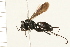  ( - 08TTML-0261)  @13 [ ] CreativeCommons - Attribution (2008) Unspecified Centre for Biodiversity Genomics