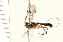  ( - 08TTML-0267)  @12 [ ] CreativeCommons - Attribution (2008) Unspecified Centre for Biodiversity Genomics