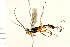  ( - 08TTML-0270)  @13 [ ] CreativeCommons - Attribution (2008) Unspecified Centre for Biodiversity Genomics