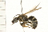 ( - 08TTML-0285)  @13 [ ] CreativeCommons - Attribution (2008) Unspecified Centre for Biodiversity Genomics