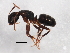  ( - BIOUG00827-D07)  @14 [ ] CreativeCommons - Attribution (2011) CBG Photography Group Centre for Biodiversity Genomics