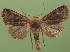  ( - FG117)  @14 [ ] Unspecified (default): All Rights Reserved  Unspecified Unspecified
