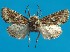  ( - FG127)  @11 [ ] Unspecified (default): All Rights Reserved  Unspecified Unspecified