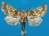  ( - FG139)  @11 [ ] Unspecified (default): All Rights Reserved  Unspecified Unspecified