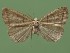  ( - FG014)  @11 [ ] Unspecified (default): All Rights Reserved  Unspecified Unspecified