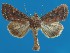  ( - FG144)  @13 [ ] Unspecified (default): All Rights Reserved  Unspecified Unspecified