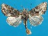  ( - FG145)  @14 [ ] Unspecified (default): All Rights Reserved  Unspecified Unspecified