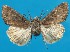  ( - FG146)  @13 [ ] Unspecified (default): All Rights Reserved  Unspecified Unspecified