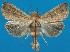  ( - FG156)  @11 [ ] Unspecified (default): All Rights Reserved  Unspecified Unspecified