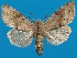  ( - FG163)  @13 [ ] Unspecified (default): All Rights Reserved  Unspecified Unspecified