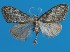  ( - FG197)  @11 [ ] Unspecified (default): All Rights Reserved  Unspecified Unspecified