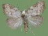  ( - FG200)  @14 [ ] Unspecified (default): All Rights Reserved  Unspecified Unspecified