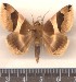 ( - ME005.TT)  @11 [ ] Unspecified (default): All Rights Reserved  Unspecified Unspecified