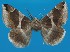  ( - FG026)  @13 [ ] Unspecified (default): All Rights Reserved  Unspecified Unspecified