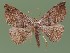  ( - FG033)  @13 [ ] Unspecified (default): All Rights Reserved  Unspecified Unspecified