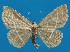  ( - FG057)  @14 [ ] Unspecified (default): All Rights Reserved  Unspecified Unspecified