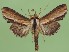  ( - FG061)  @14 [ ] Unspecified (default): All Rights Reserved  Unspecified Unspecified